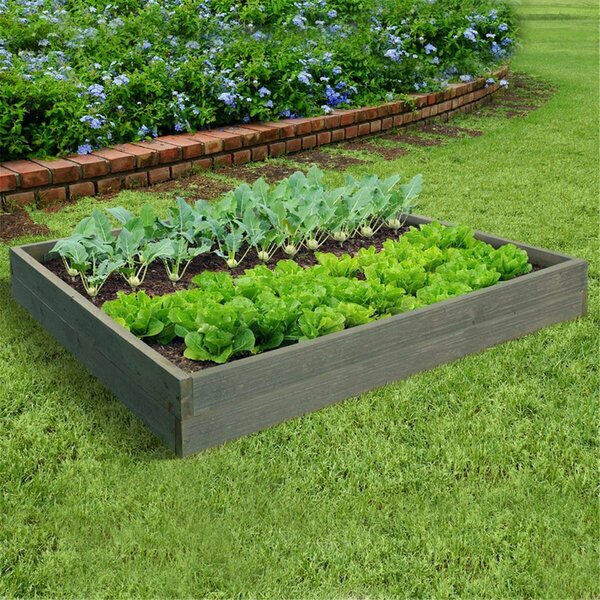 Curtilage 4 x 4 in. Wood Planter Box, Rustic Gray CU2740137